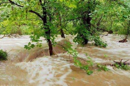 夢見發大水